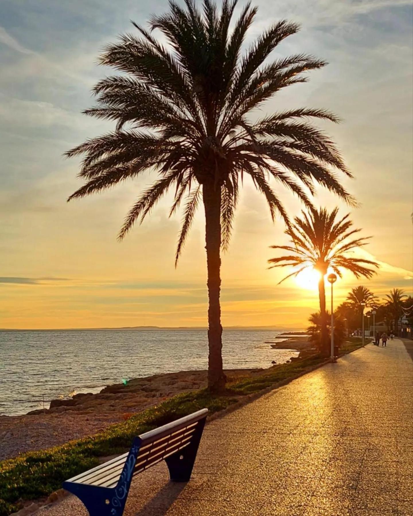 Residence Santa Pola Dış mekan fotoğraf