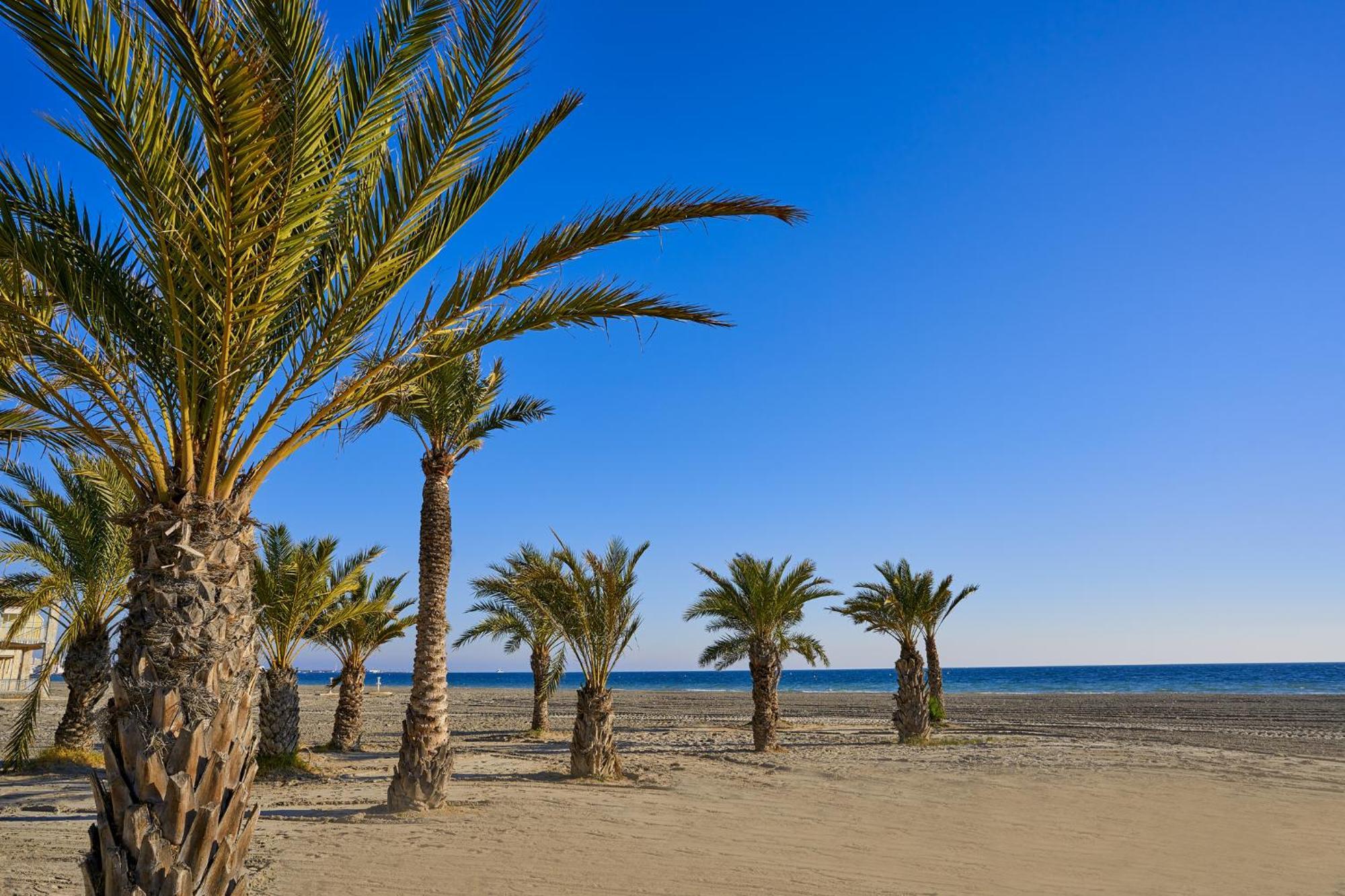 Residence Santa Pola Dış mekan fotoğraf